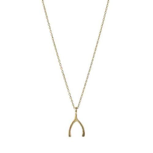 Ketting Delicate Wishbone Verguld