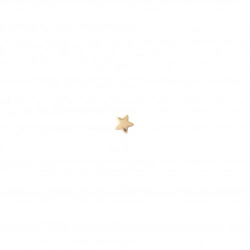 Oorknopje Ster Verguld