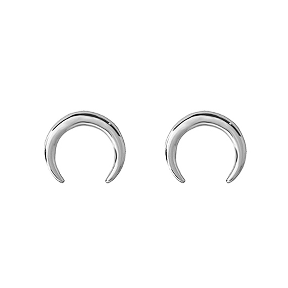 Oorbellen Buffalo Silver