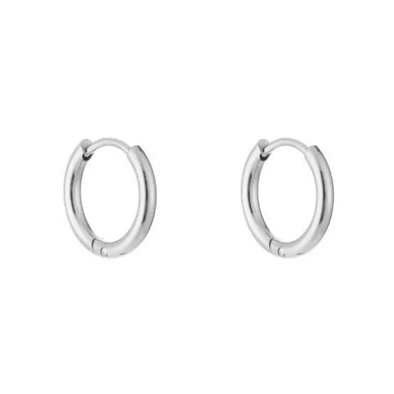 Oorringen Eclat Zilver